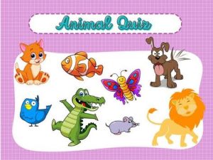 Animals Quiz