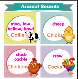 Animal Sounds