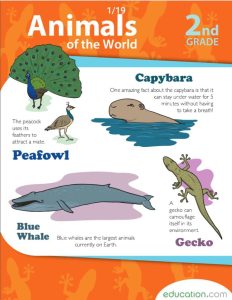 Animals Of the word