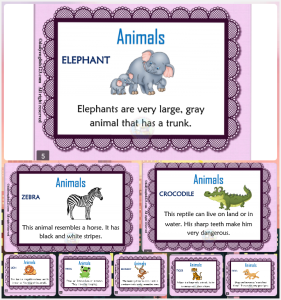 Animals reading comprehension