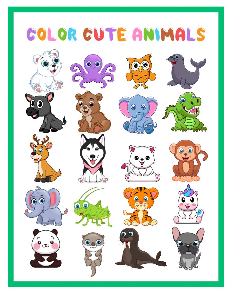 COLOR CUTE ANIMALS